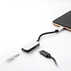 adapter / przejściówka audio do Apple Lightning do Mini Jack 3.5 mm (silver)-9149