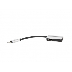 adapter / przejściówka audio do Apple Lightning do Mini Jack 3.5 mm (silver)-9150